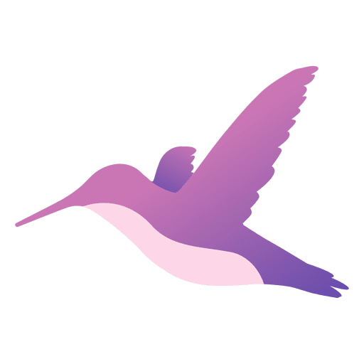 Colibri flying PNG Design