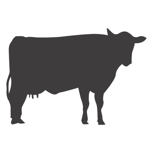 Cow standing vector PNG Design