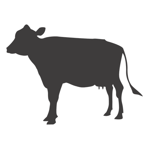 Cow vector PNG Design