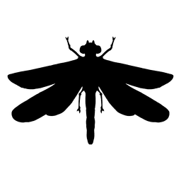 Libélula silueta Diseño PNG
