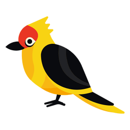Ilustração de pássaro exótico Desenho PNG
