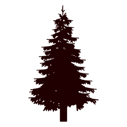 Silhueta de pinheiro Desenho PNG