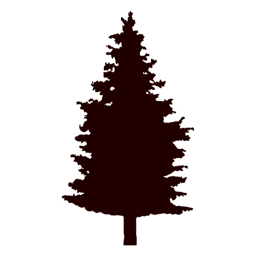 Fir tree vector