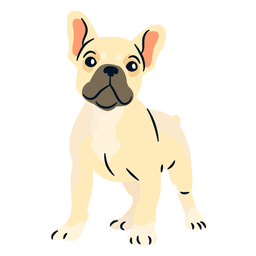 French Bulldog Illustration - Vector Download