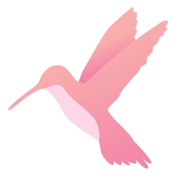 Colibrí Diseño PNG