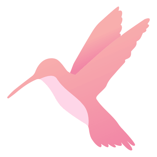 Hummingbird PNG Design