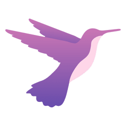 Hummingbird feeding PNG Design