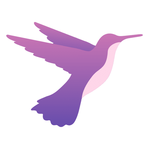 Hummingbird feeding PNG Design