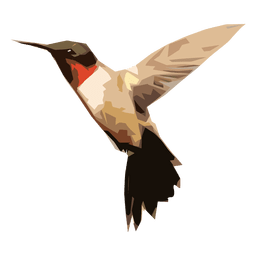 Ilustración de colibrí Diseño PNG