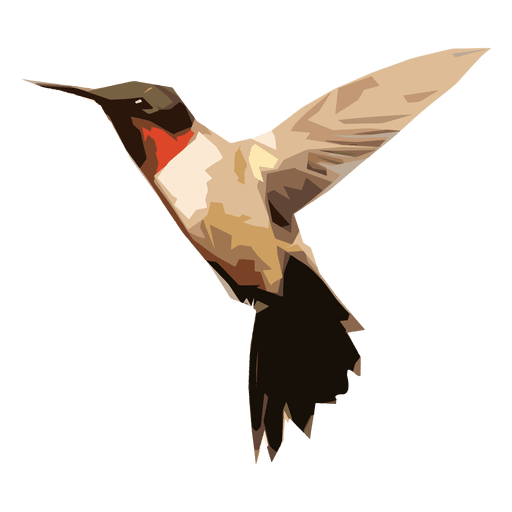 Kolibri Illustration PNG-Design