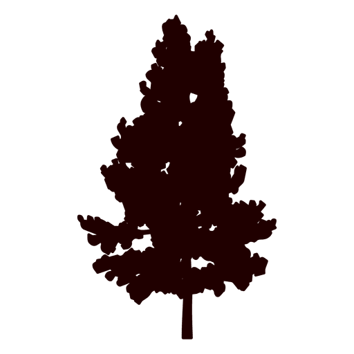 Mountain pine tree silhouette