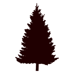 Pine tree silhouette pine tree