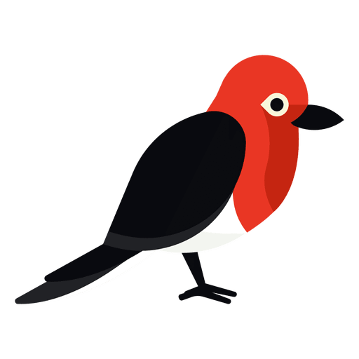 Ilustração do pica-pau de cabeça vermelha Desenho PNG