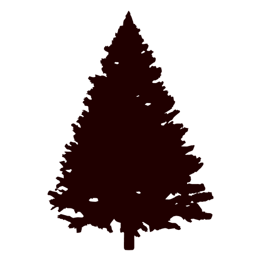 Spruce tree silhouette