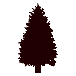 Spruce tree vector PNG Design