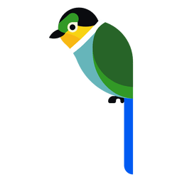 Ilustración de loro turquesa Diseño PNG