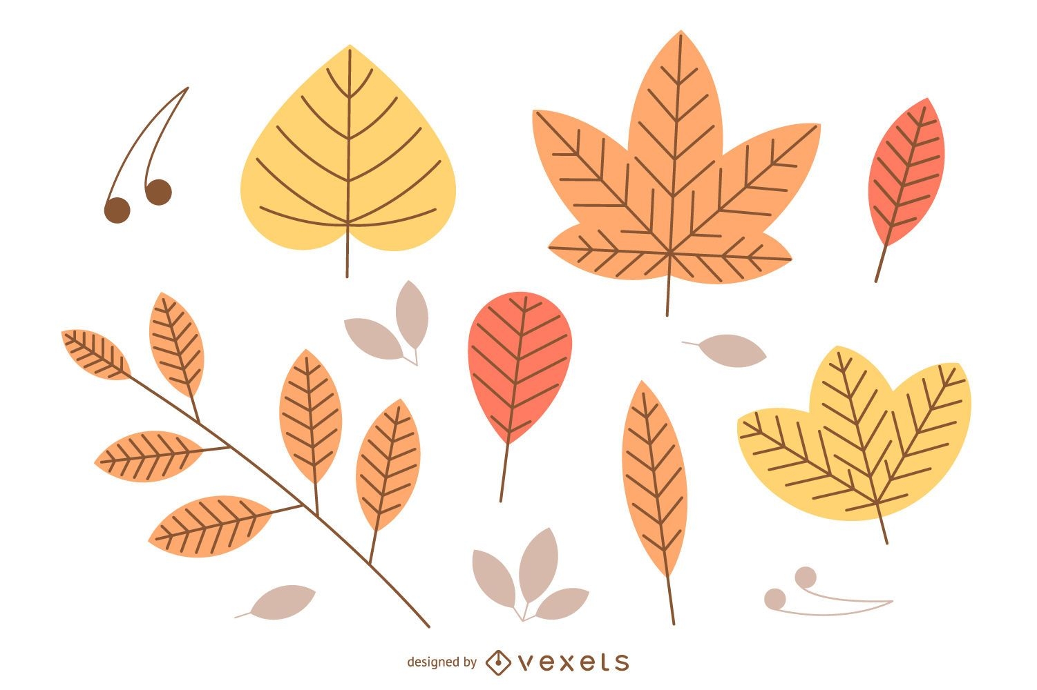 Isolated autumn leaves illustration