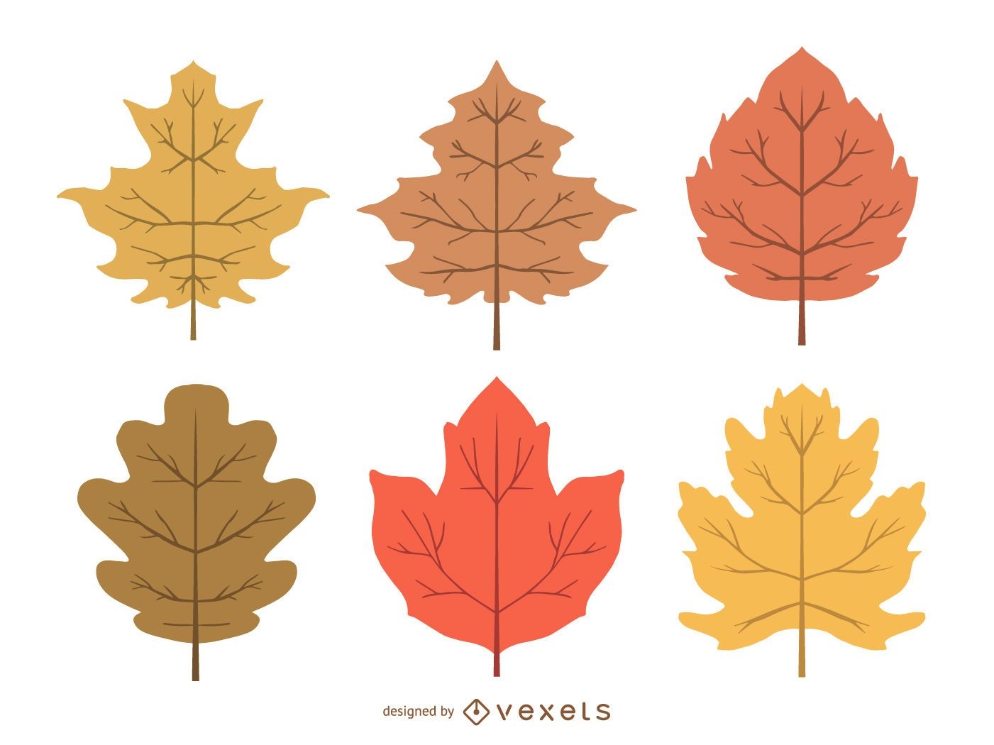 Delicate autumn leaves illustration set