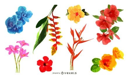Tropical flowers illustration set