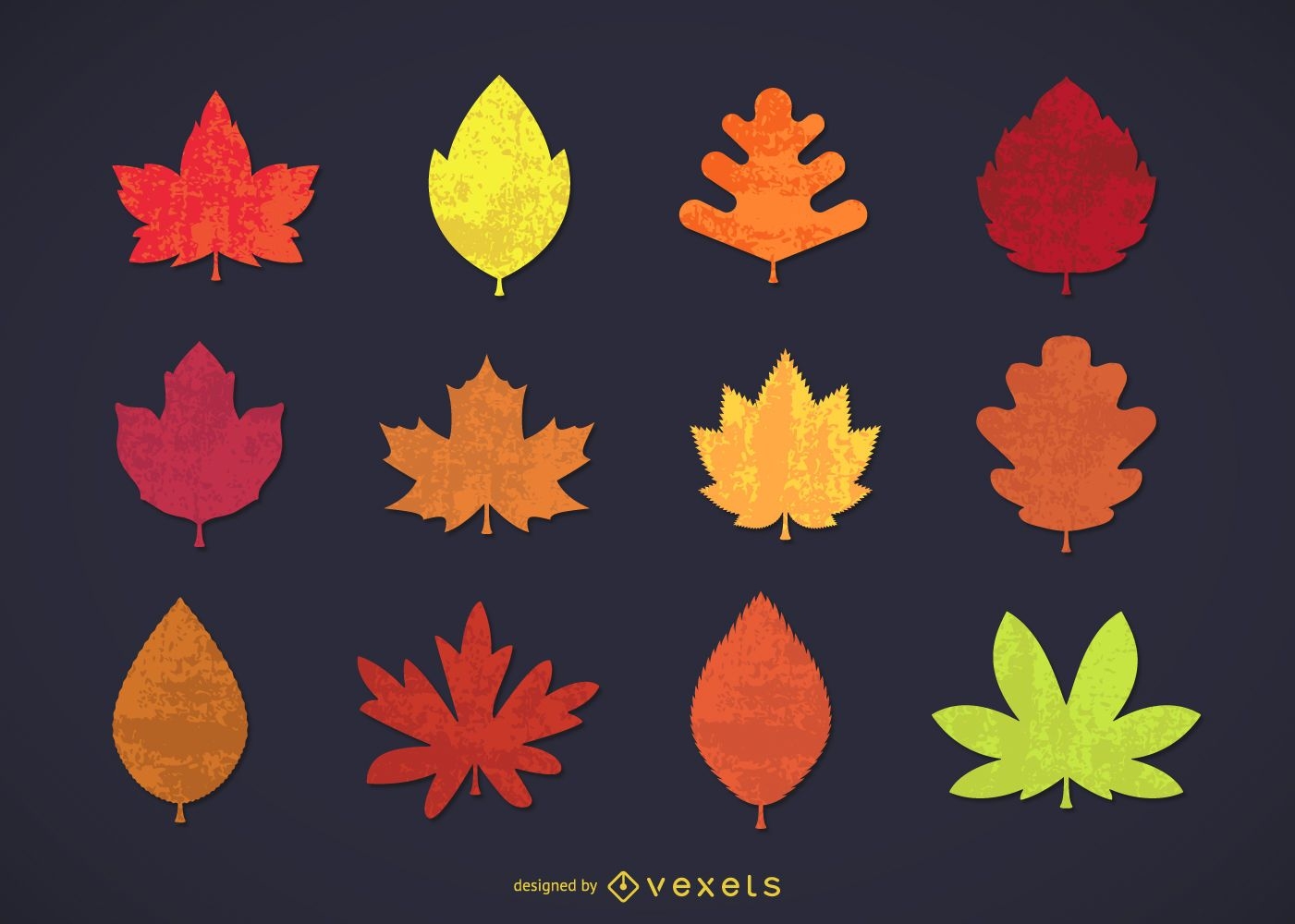 Coleção de folhas de outono
