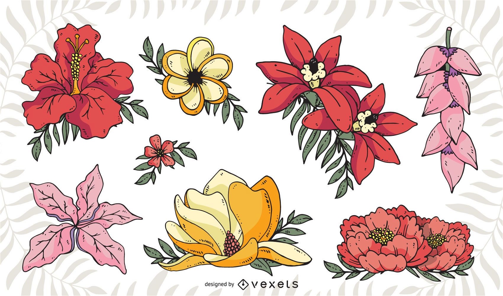 Pacote de ilustrações de flores tropicais