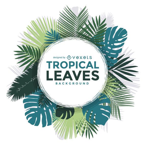 Tropical palm leaves frame Tropical palm leaves frame