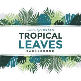 Palmera tropical deja texto de marco sobre blanco