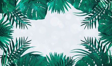 Palme verlässt Rahmen Palme verlässt Rahmen