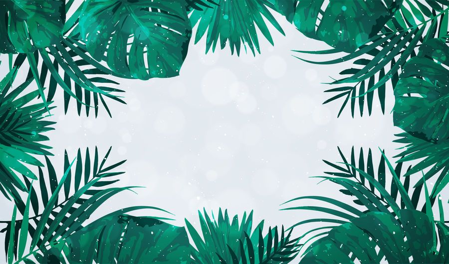 Palm tree leaves frame Palm tree leaves frame