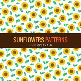 Fondo de patrón de girasol
