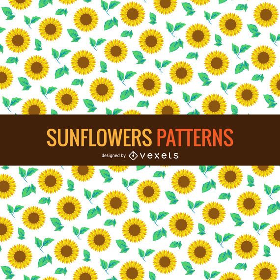 Sunflower pattern background Sunflower pattern background