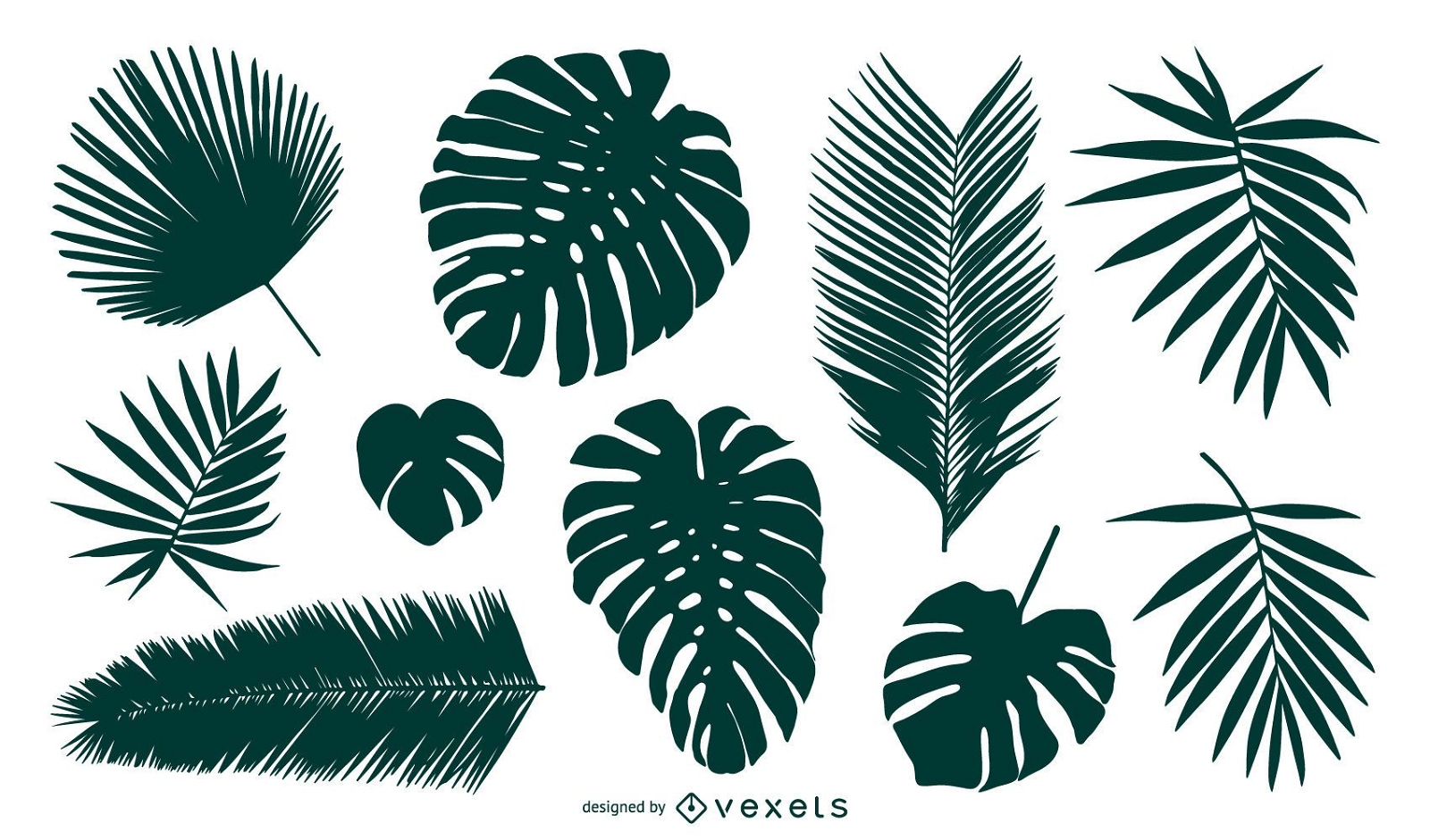 Silhouettes of palm tree leaves set.