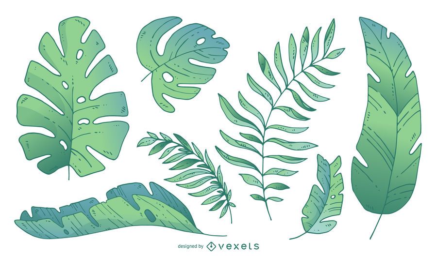 Palm tree leaves in gradient tones Palm tree leaves in gradient tones