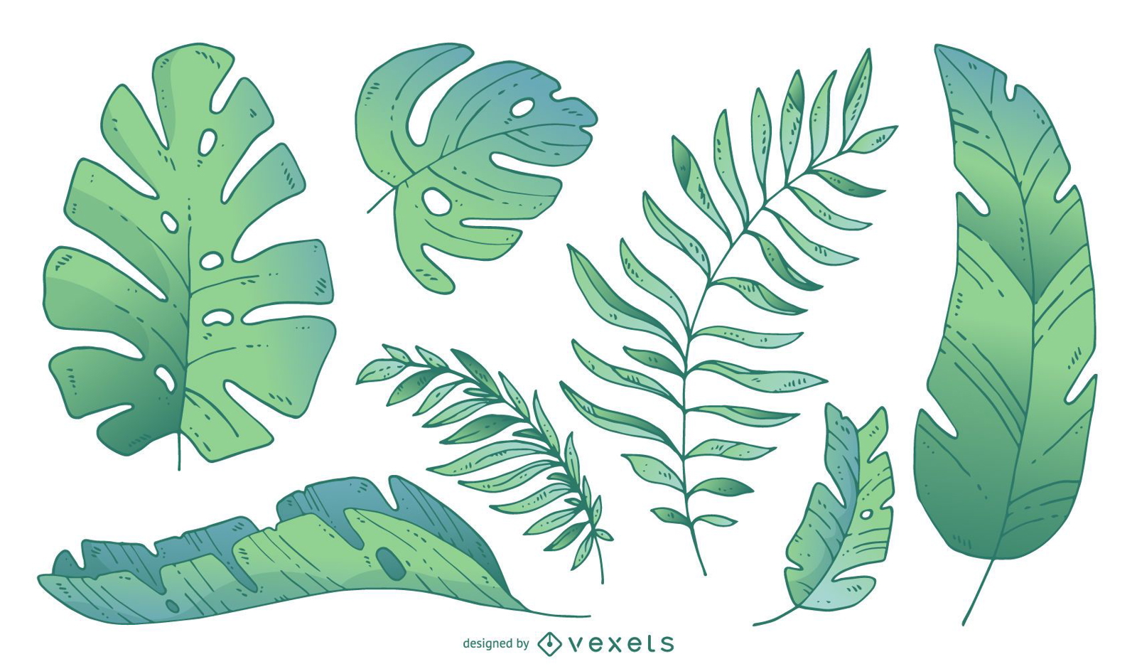 Palm tree leaves in gradient tones