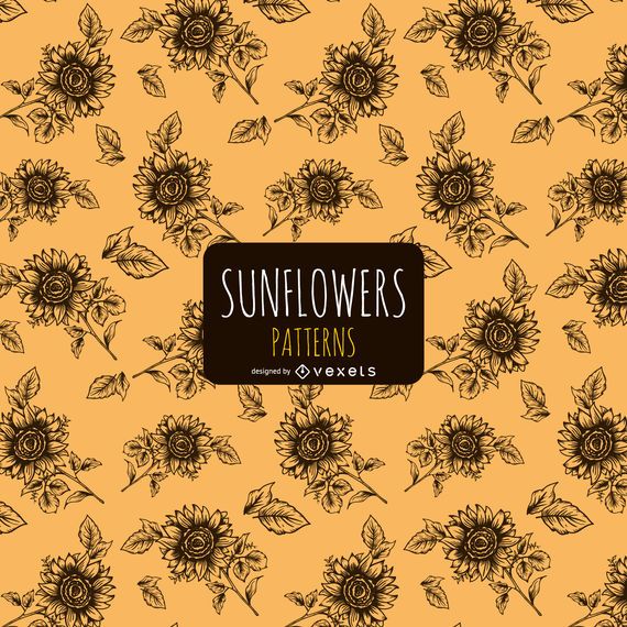 Hand drawn sunflower pattern Hand drawn sunflower pattern