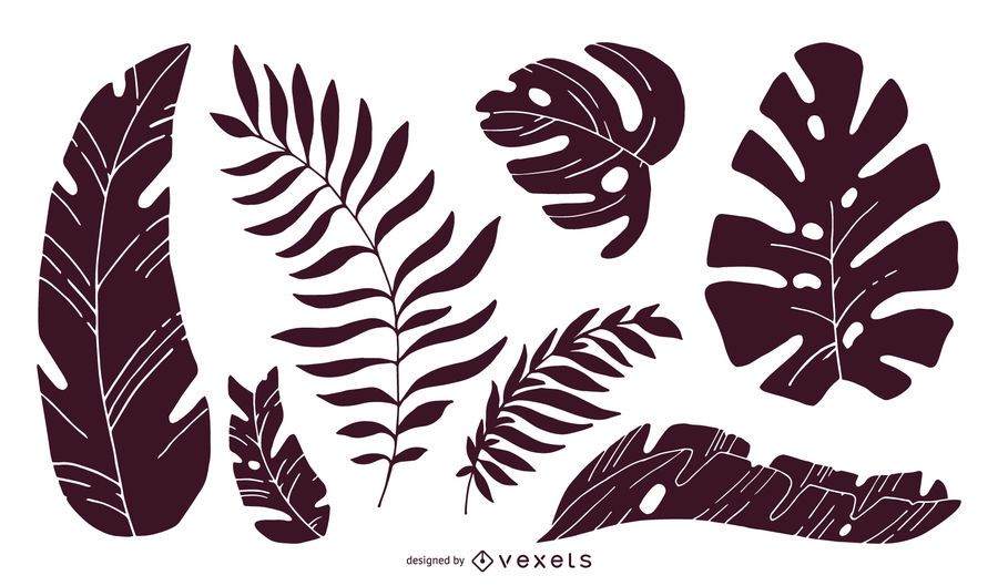 Set of tropical leaves silhouettes Set of tropical leaves silhouettes