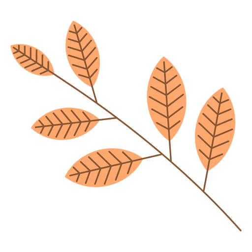 Autumn leaves branch