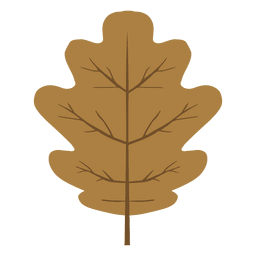Folha de carvalho marrom no outono Desenho PNG