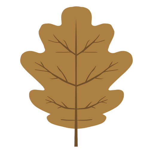 Brown autumn oak leaf