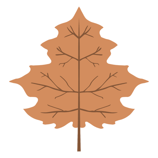 Isolated brown autumn leaf PNG Design