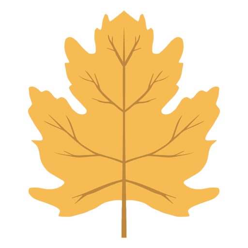 Isolated yellow autumn leaf PNG Design