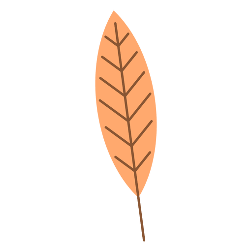 Folha longa laranja de outono Desenho PNG