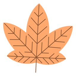 Folha de bordo de outono laranja Desenho PNG