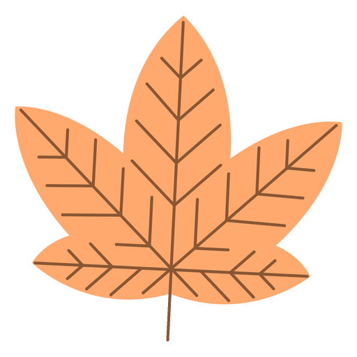 Orange Herbstahornblatt PNG-Design