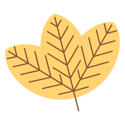 Yellow autumn leaf PNG Design