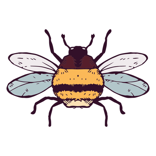 Bumble bee PNG Design