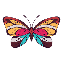 Butterfly colored PNG Design