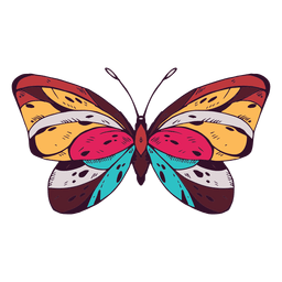 Mariposa color