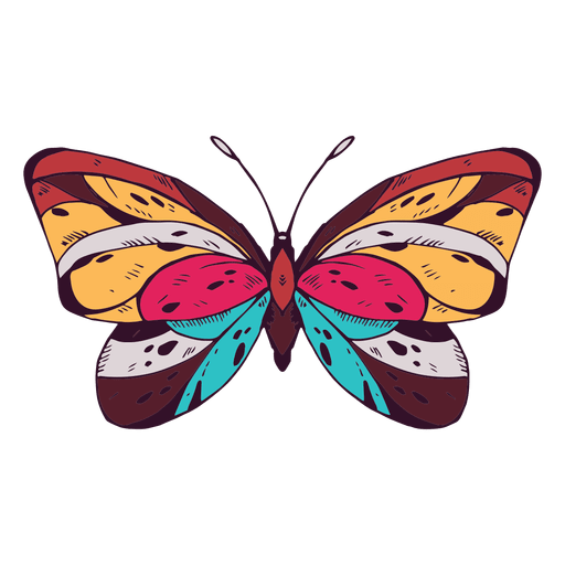 Download Butterfly colored - Transparent PNG & SVG vector file