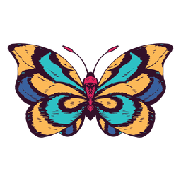 Butterfly illustration PNG Design